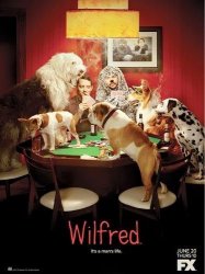   / Wilfred (2014) 4  